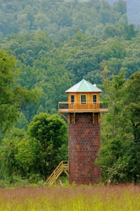 kings-tower-0077-533×800-199×300